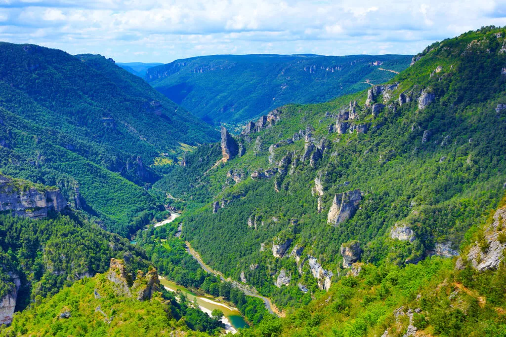 gorges du tarn Gorges du Tarn vues depuis le Causse — eaux turquoise entre falaises calcaires