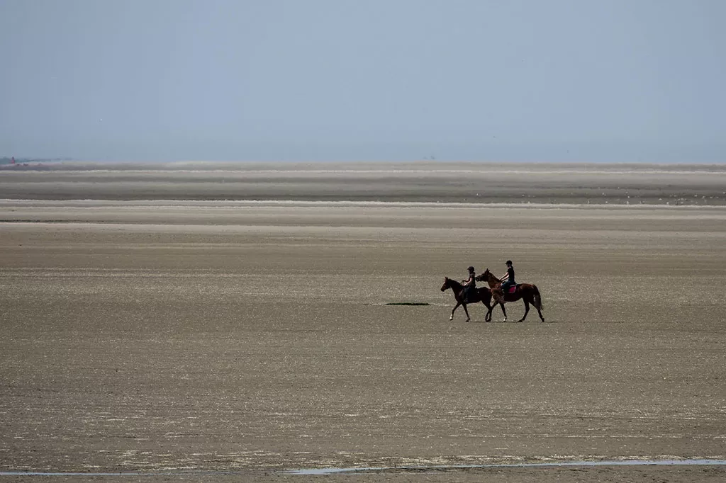 portfolio origin 3 sablieres cheval baie de somme portfolio origin 3 sablieres cheval baie de somme