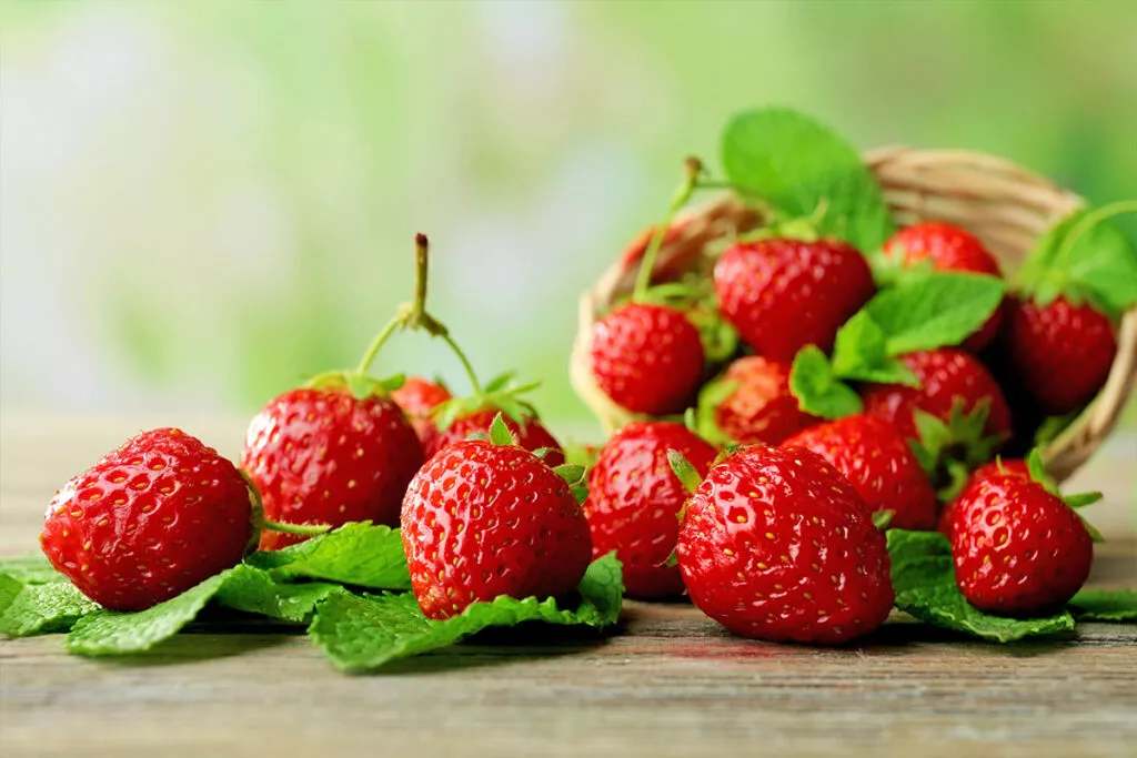 Spécialités de Bretagne : fraises de Plougastel