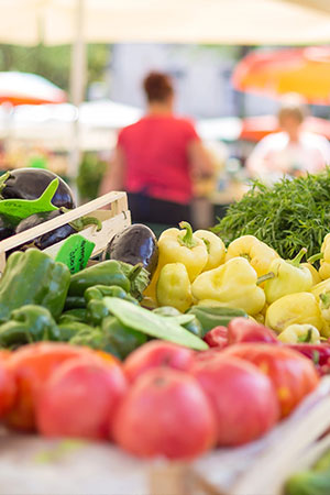 vignette producteurs origin vignette producteurs origin