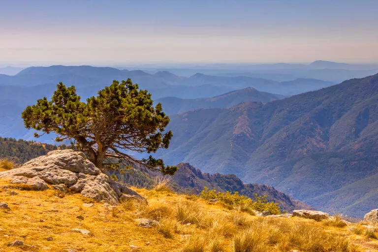 Destination Cévennes, vue depuis le Mont Aigoual Causses et Cévennes UNESCO