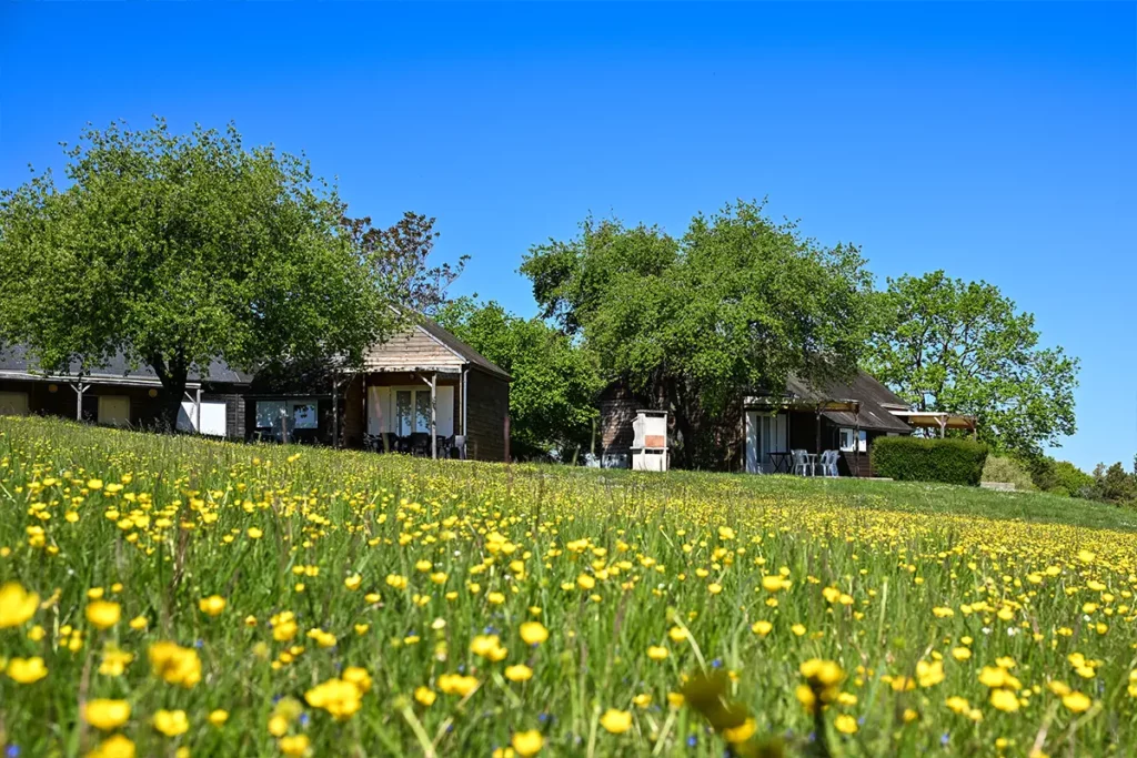 chalets parcs coteaux cdl Chalets dans le parc arboré du Camping Les Coteaux du Lac