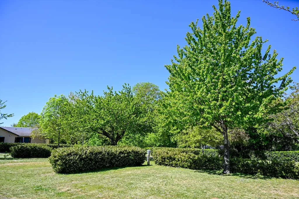 emplacement nu cdl Emplacement nu pour tente ou caravane au Camping Les Coteaux du Lac