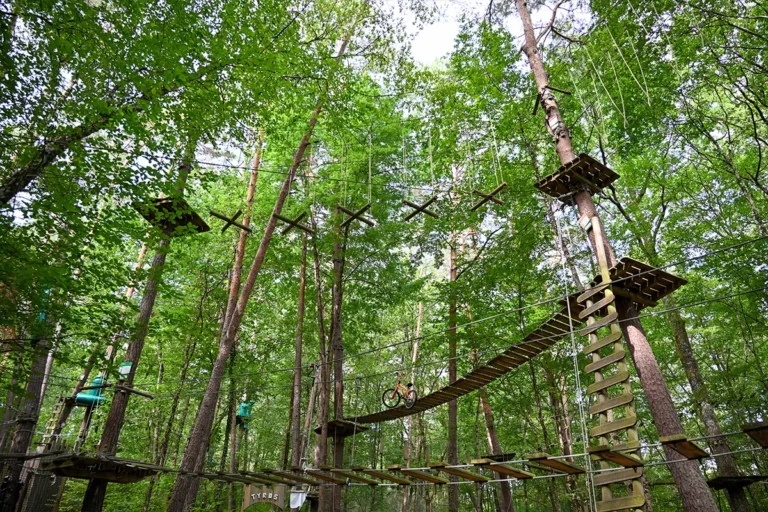 CDL Accro clic lac Parcours d’accrobranche dans les arbres près du camping les Coteaux du Lac
