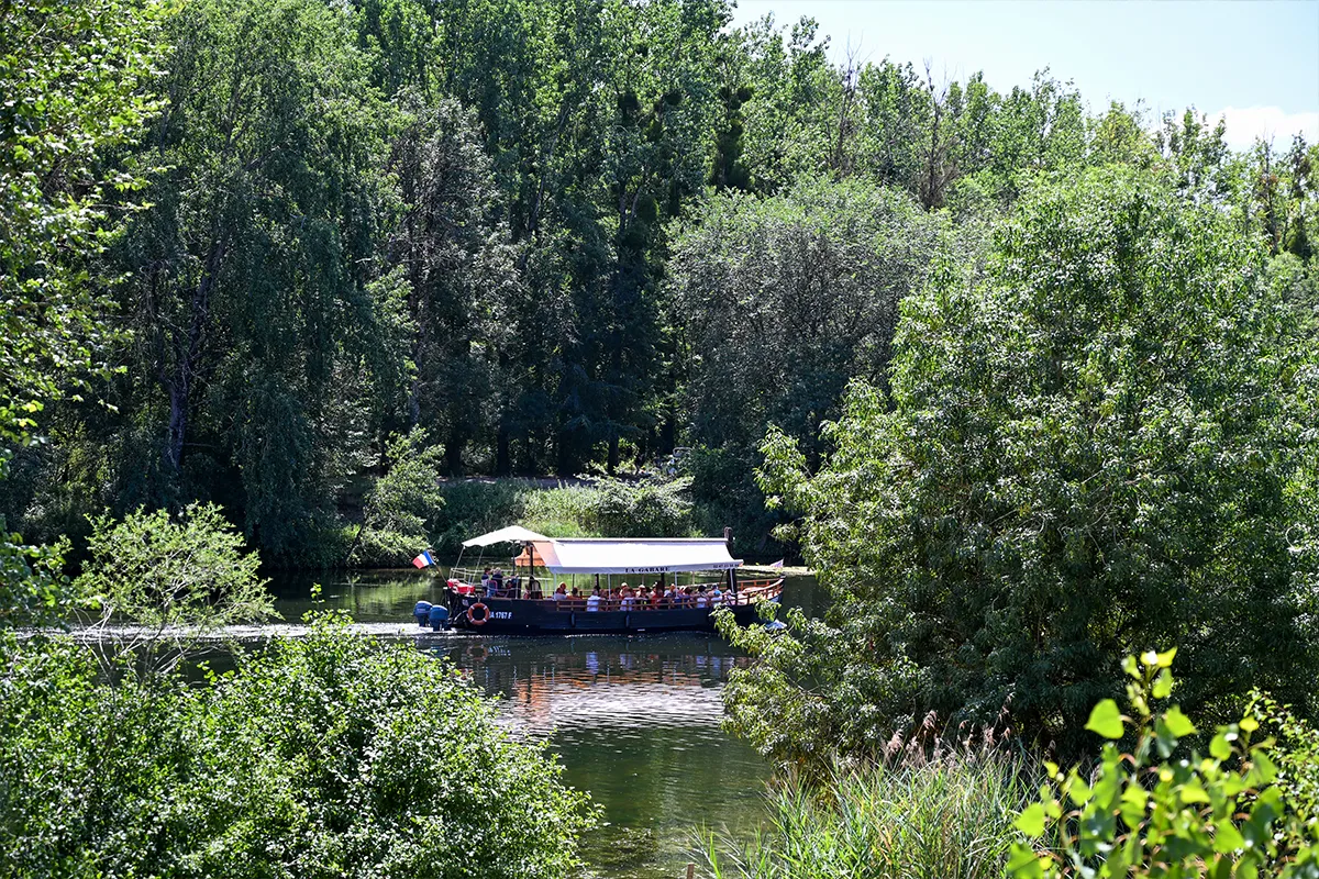 CDL gabarre cher 1 Gabarre naviguant sur le Cher entre les rives boisées