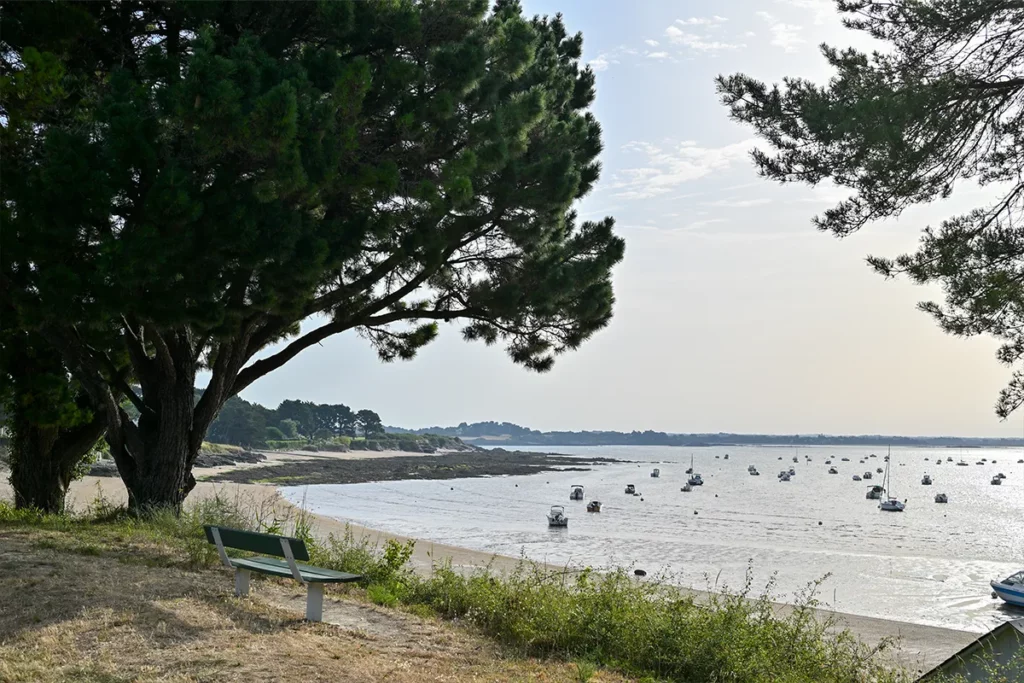 DDM Kervoyal maree basse
