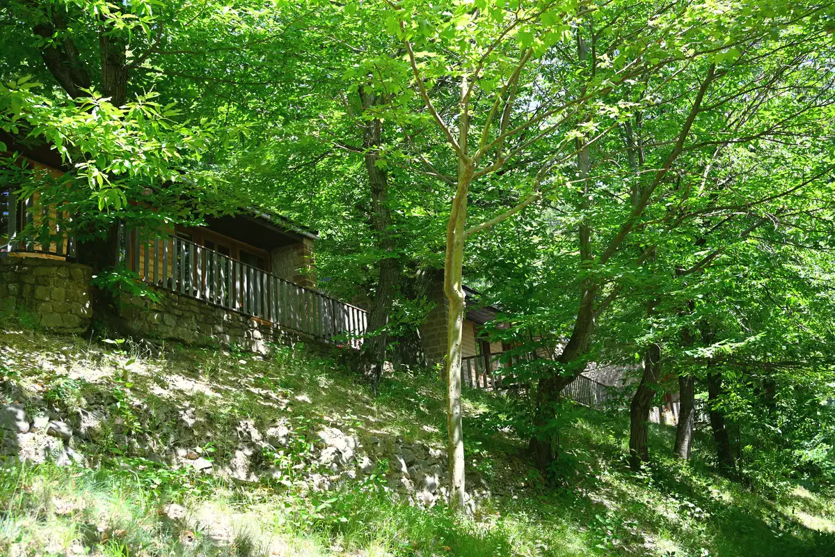 DSC 1950 Chalets en terrasse dans la forêt au camping du Lac de Villefort