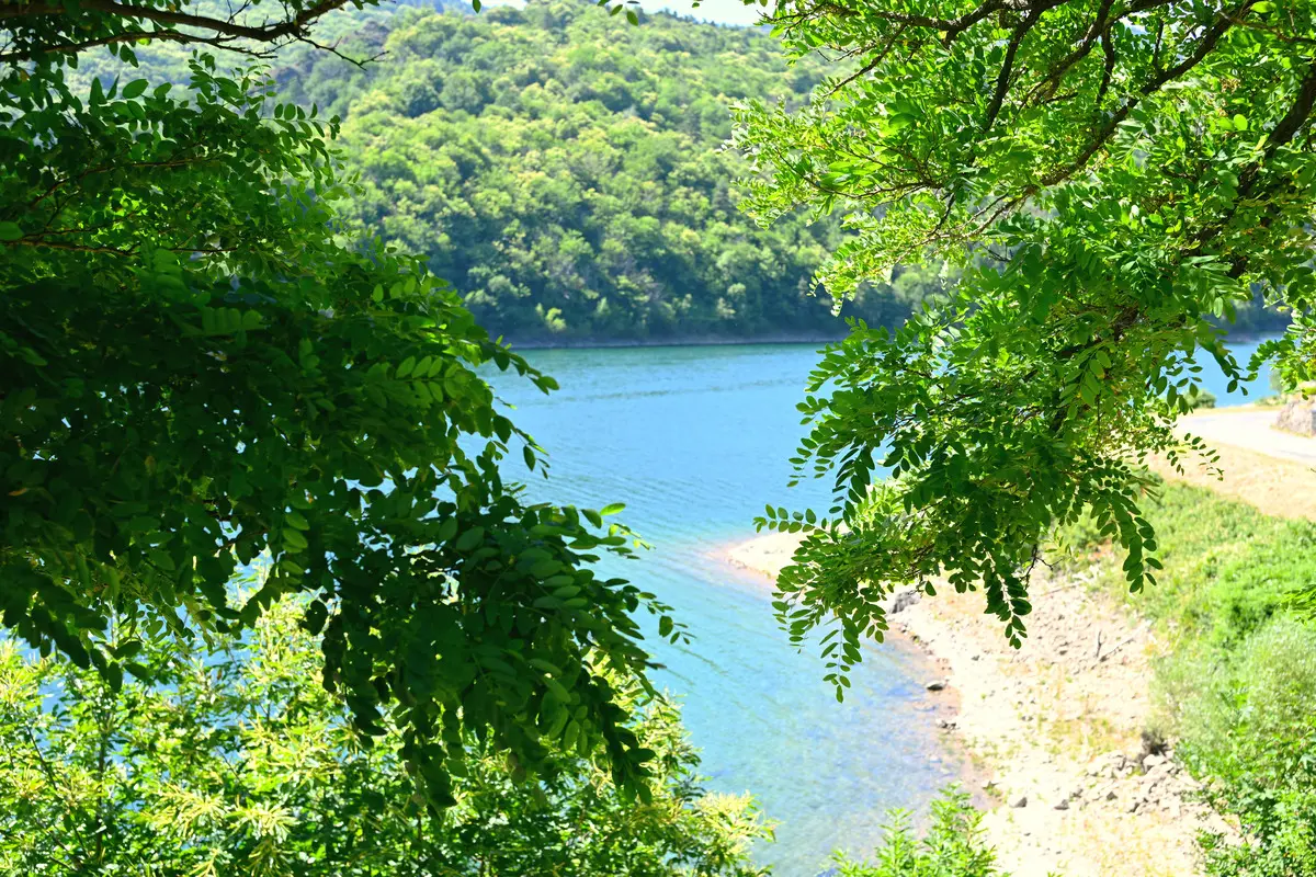 DSC 2017 Rive du lac de Villefort aperçue à travers le feuillage