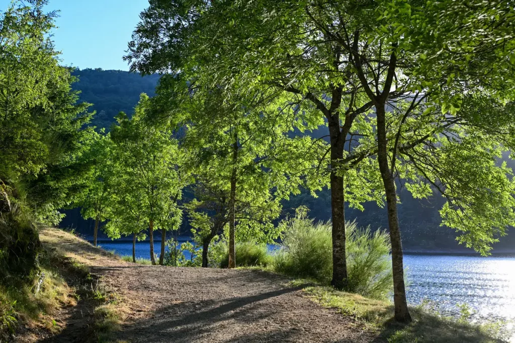LDV sentier lac Sentier longeant le lac de Villefort dans les Cévennes