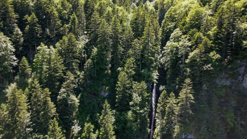 PRA slide cascade enfer Cascade d’Enfer dévalant la forêt de sapins vue du ciel