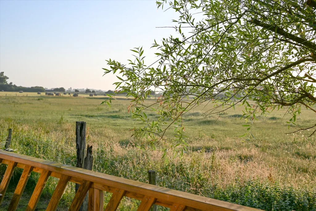 SAB vue matin Lever du jour sur les marais depuis la terrasse d’un hébergement en baie de Somme