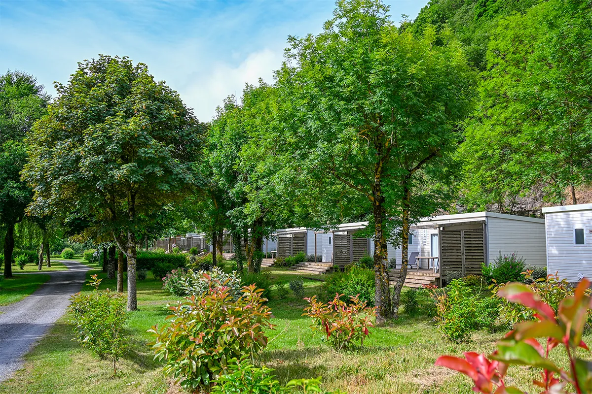 mh rangee declick Allée bordée de mobil-homes et d’arbres au camping Pradelongue